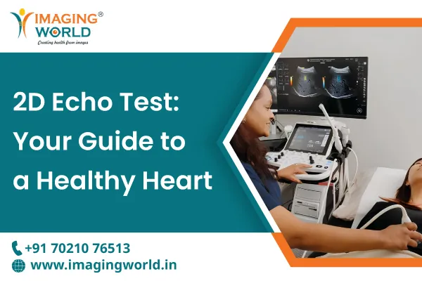 2D Echo Test: Your Guide to a Healthy Heart