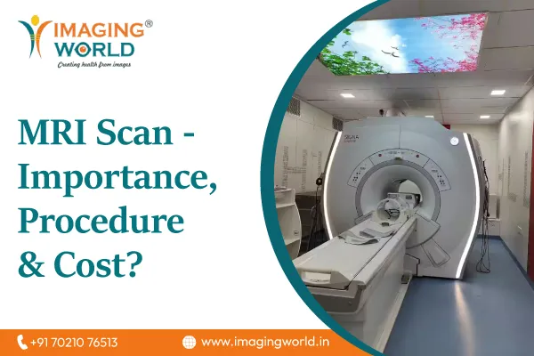 MRI Scan – Importance, Procedure &
                                    Cost?